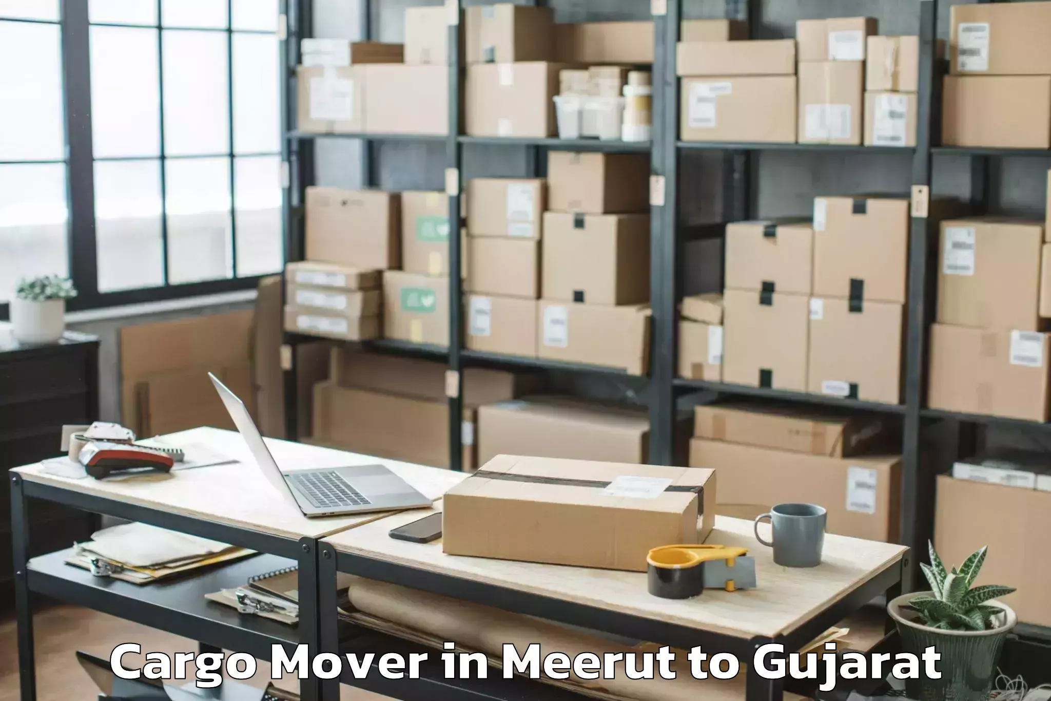 Expert Meerut to Unjha Cargo Mover